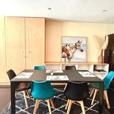 Appartement Maison Independante Stylee Climatisee 98m2 Bordeaux