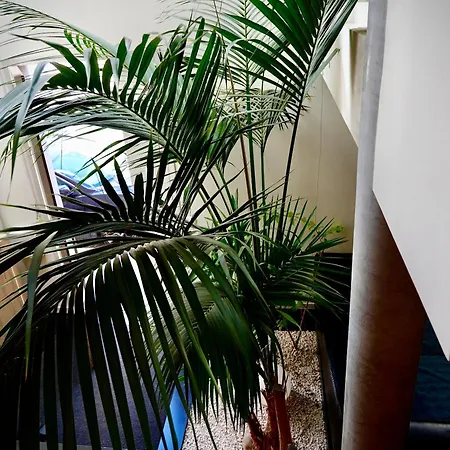 アパート Maison Independante Climatisee 2chambres Et 1mezzanine 110m2 *