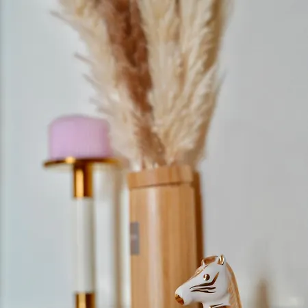 Daire Maison Independante Stylee Climatisee 98m2 *