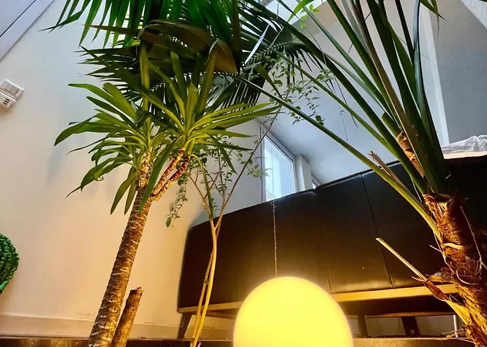 Appartement Maison Independante Stylee Climatisee 98m2 Bordeaux